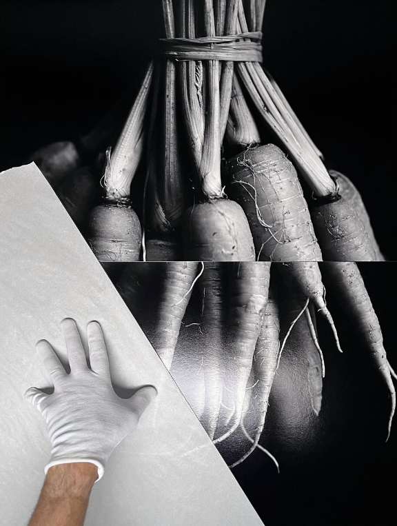 Carol Gherardi que será exposto no consulado brasileiro em Los Angeles.png