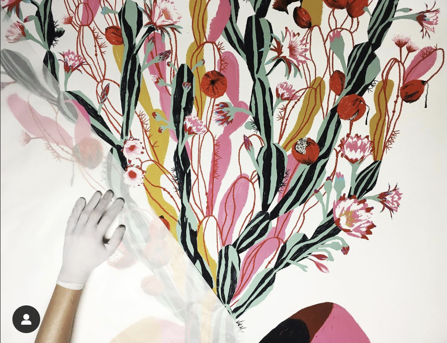 Mandacaru - Catarina Bessell.png